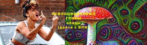 ПСИЛОЦИБИНОВЫЕ ГРИБЫ Беломорск