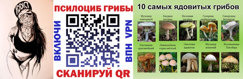 Галлюциногенные грибы MAGIC MUSHROOMS  наркота  Горячий Ключ 