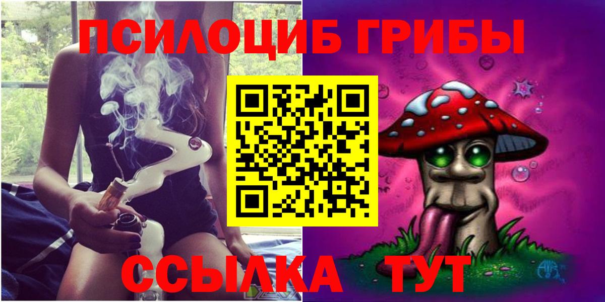 Псилоцибиновые грибы прущие грибы Горячий Ключ