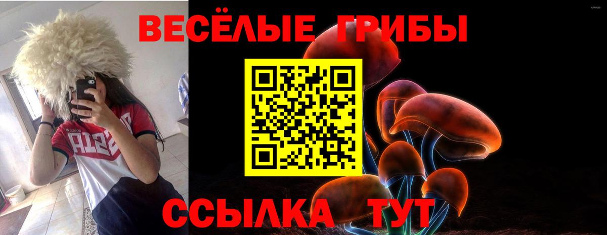 Псилоцибиновые грибы Cubensis  Вход с VPN  продажа наркотиков  Галлюциногенные грибы мухоморы  Горячий Ключ 